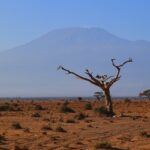 How Kenya Is Rewriting Its Future from Crisis to Resilience