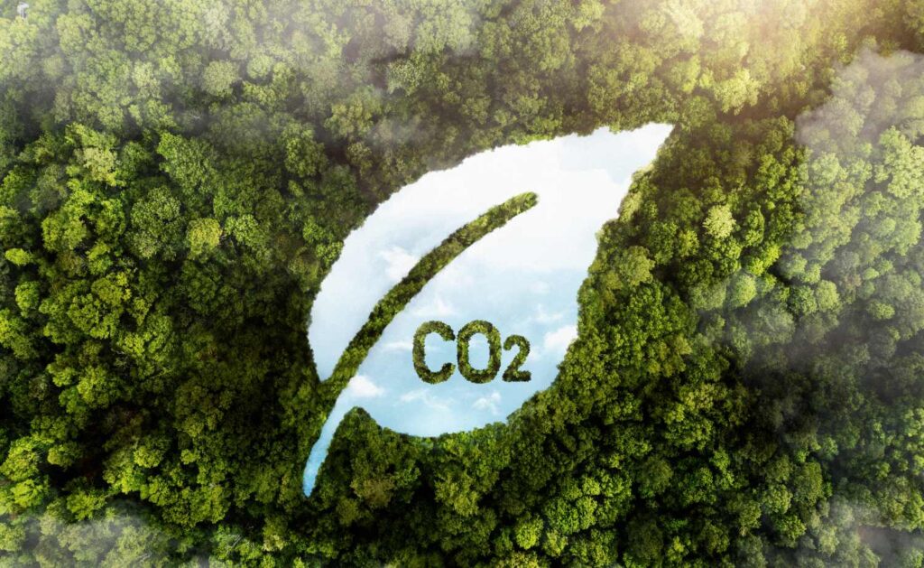 New Report Warns Carbon Markets Could Devastate Africa’s Climate Future