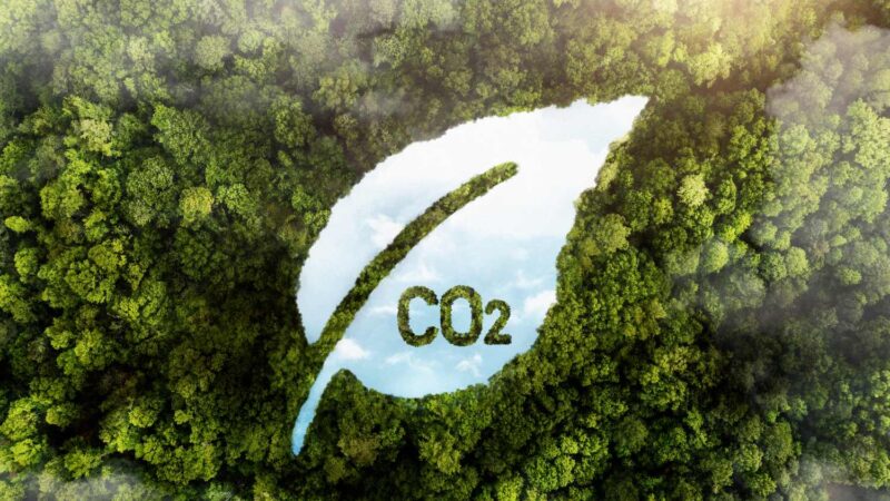 New Report Warns Carbon Markets Could Devastate Africa’s Climate Future