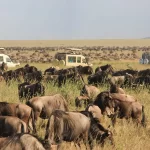 Maasai Mara Officially Included in the World Book of Records