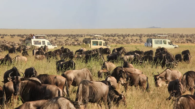 Maasai Mara Officially Included in the World Book of Records