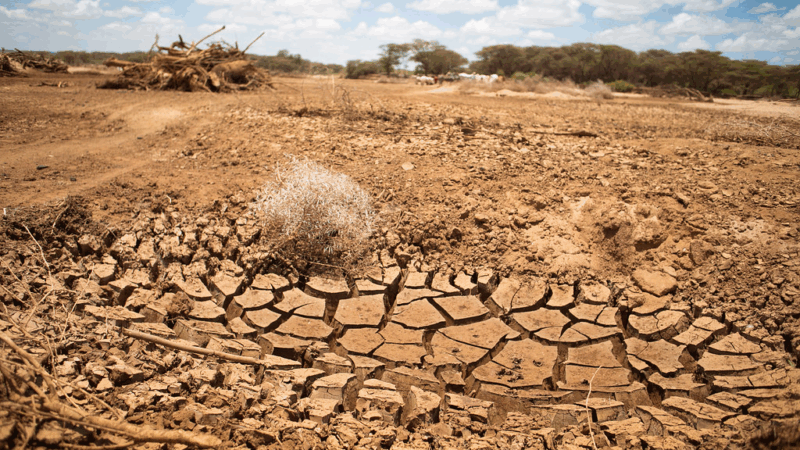 Kenya Climate Resilience Strategy Faces Scrutiny as Key Counties Miss Funding