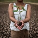 Women Rising to Heal the Earth