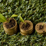 Carbon Credit Integrity in Kenya Under Questions
