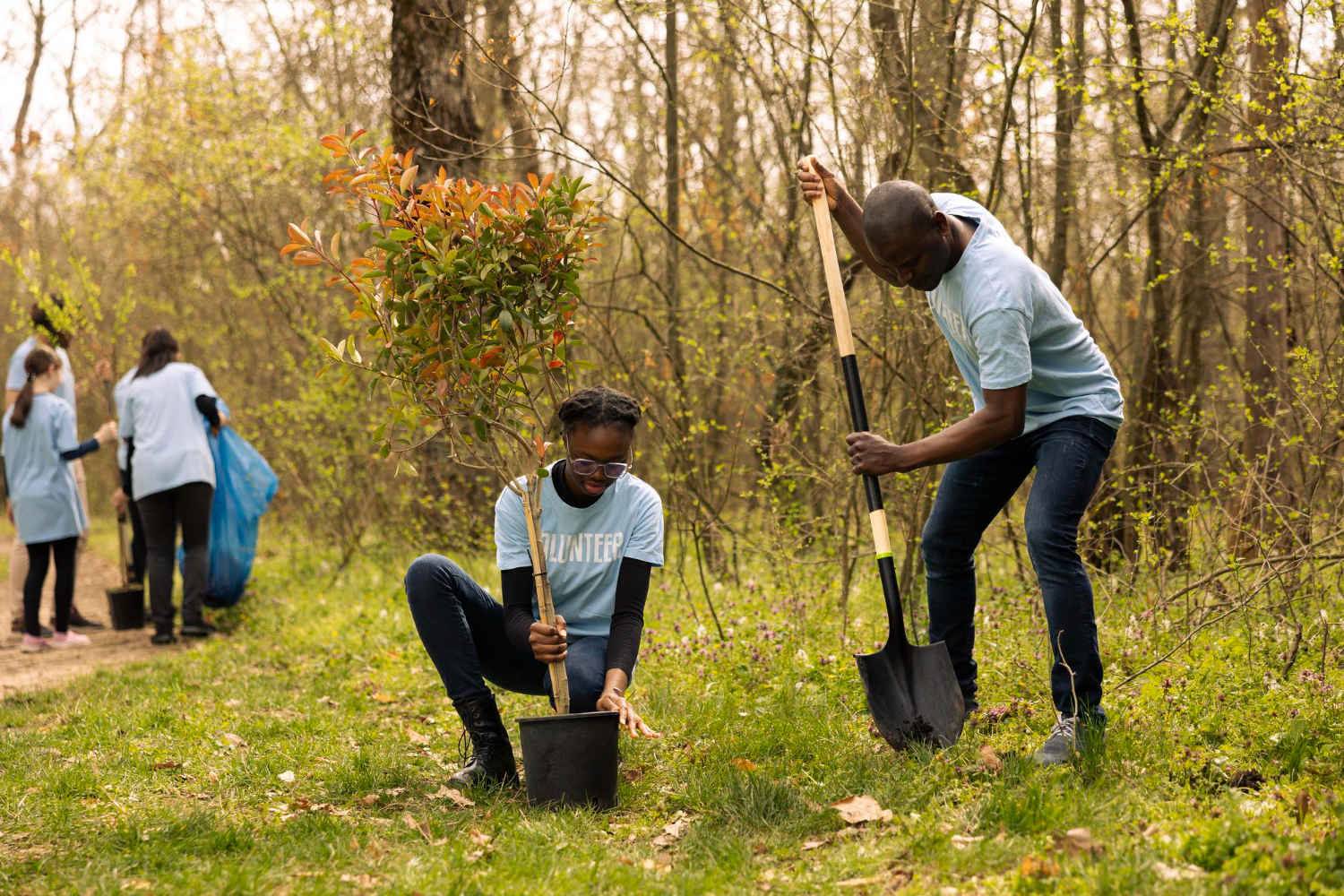 Forest Gardens Take Root in Kenya and Africa