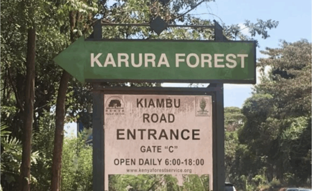 Karura Forest Entry Fees Rise Amid Fierce Management Dispute