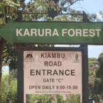 Karura Forest Entry Fees Rise Amid Fierce Management Dispute