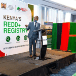 Kenya Leads Africa with First-Ever REDD+ Registry to Save Forests and Earn from Carbon
