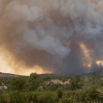 Britain’s KES 500 Million Payout Fails Lolldaiga Fire Victims and Biodiversity