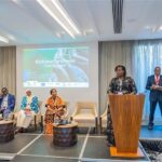Experts Urge Data-Driven, Coordinated Efforts to Protect Africa’s Forests and Ecosystems