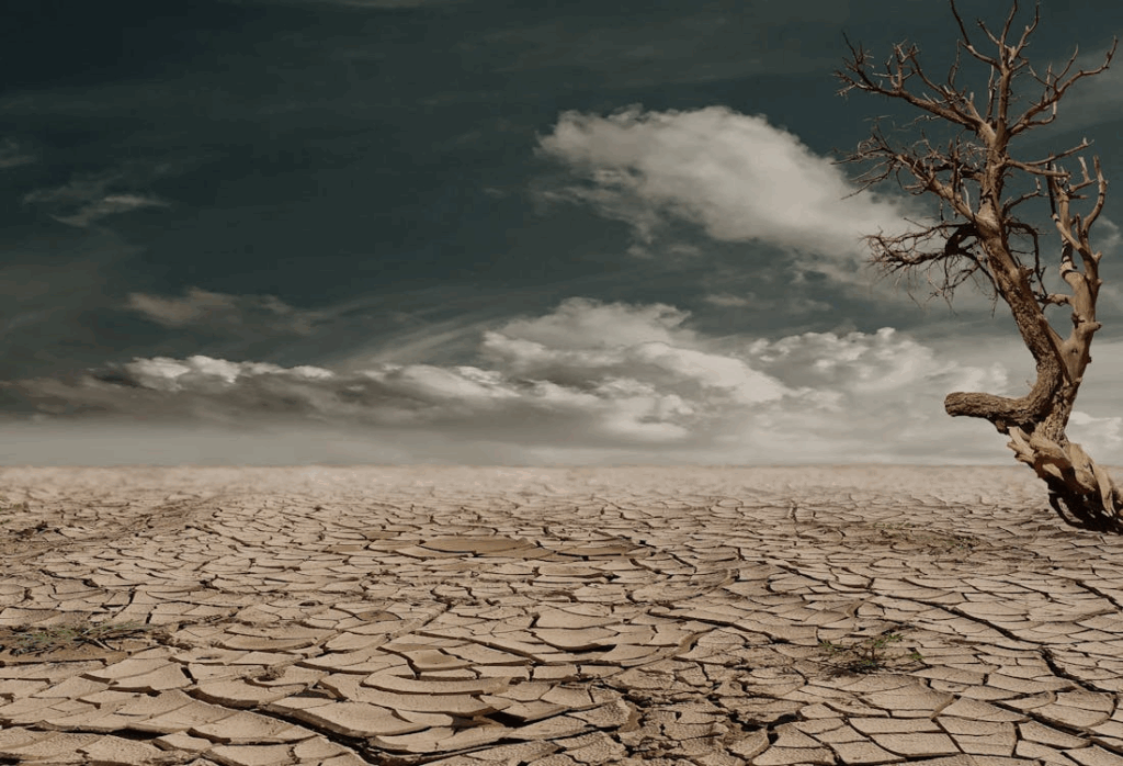 Kenya’s Land Crisis Outpaces Global Biosphere Decline