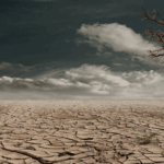 Kenya’s Land Crisis Outpaces Global Biosphere Decline