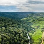 Saving the Mau Water Tower