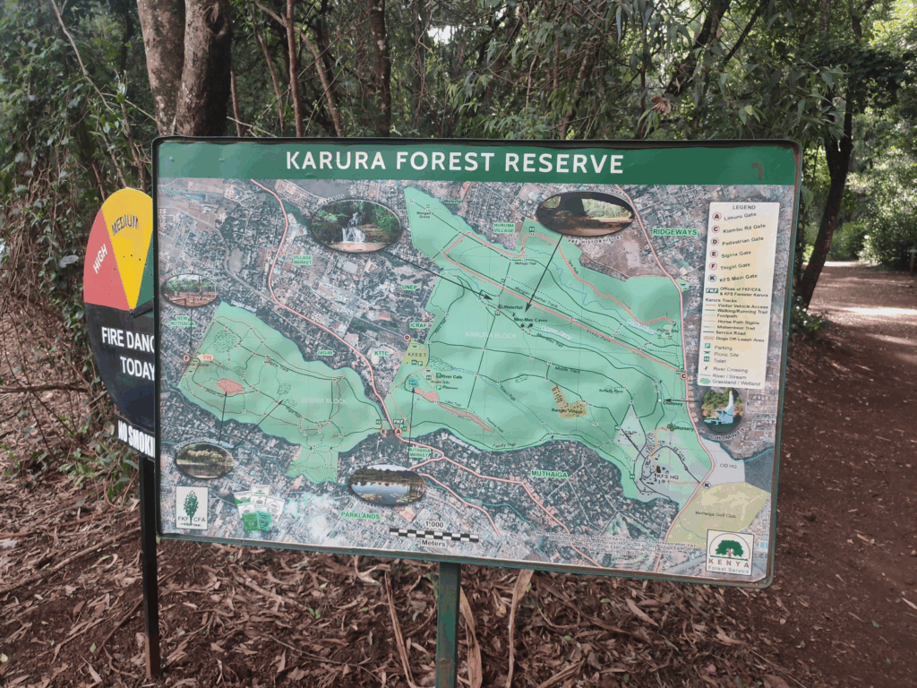 Karura Forest Entry Fees Battle Heads to Court