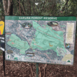 Karura Forest Entry Fees Battle Heads to Court