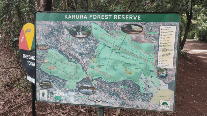 Karura Forest Entry Fees Battle Heads to Court