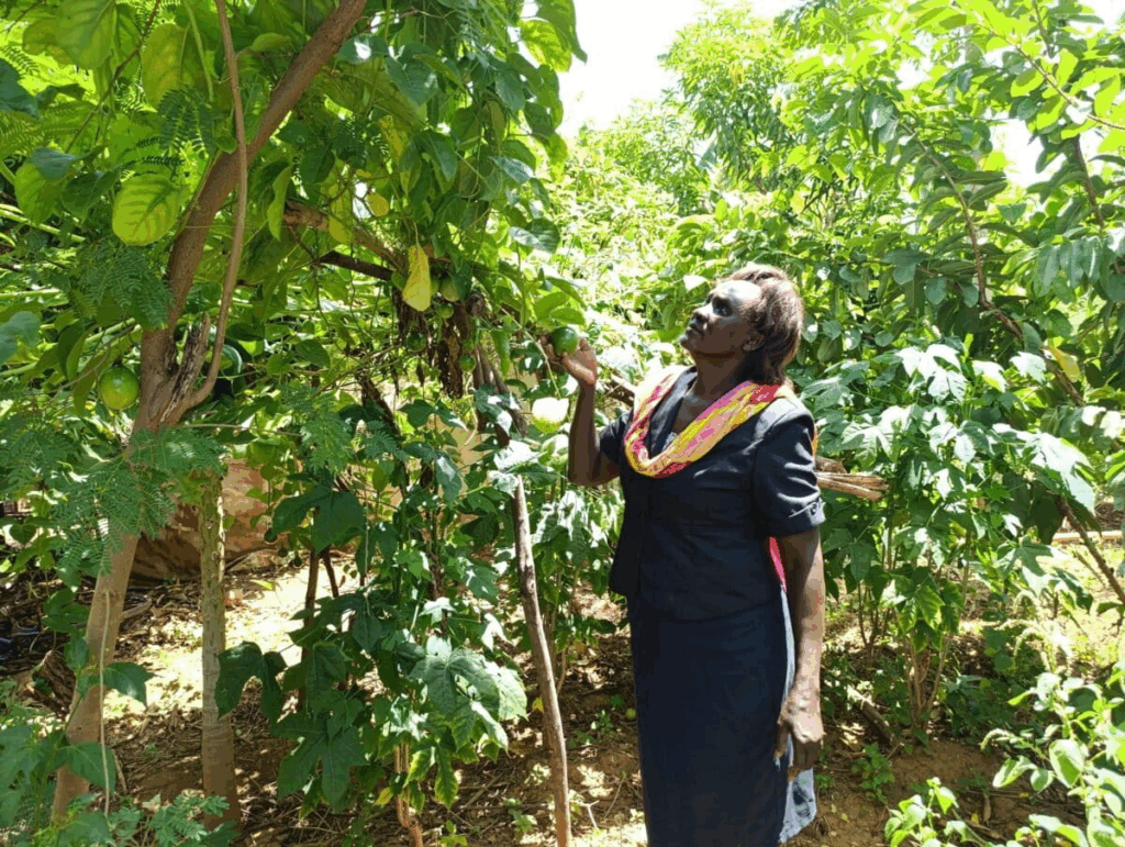 Baringo Women Restoring Land Through Organic Farming