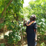 Baringo Women Restoring Land Through Organic Farming