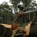 Kenya Emerge a Rare Success Story in Fight Against Deforestation