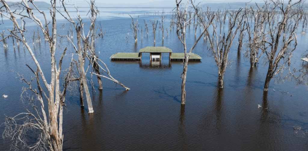 Japan’s Tsunami Walls Offer Lessons for Kenya’s Swelling Rift Valley Lakes