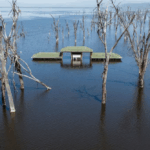 Japan’s Tsunami Walls Offer Lessons for Kenya’s Swelling Rift Valley Lakes