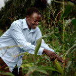 African Farmers Bearing the Climate Burden Alone