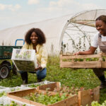 Africa Can Create 25 Million Green Jobs by 2050, Says World Bank Report