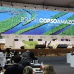 COP30 Signals New Climate Finance Path for Africa