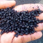 Bio Logical Uses Biochar to Fight Climate Change and Empower Farmers