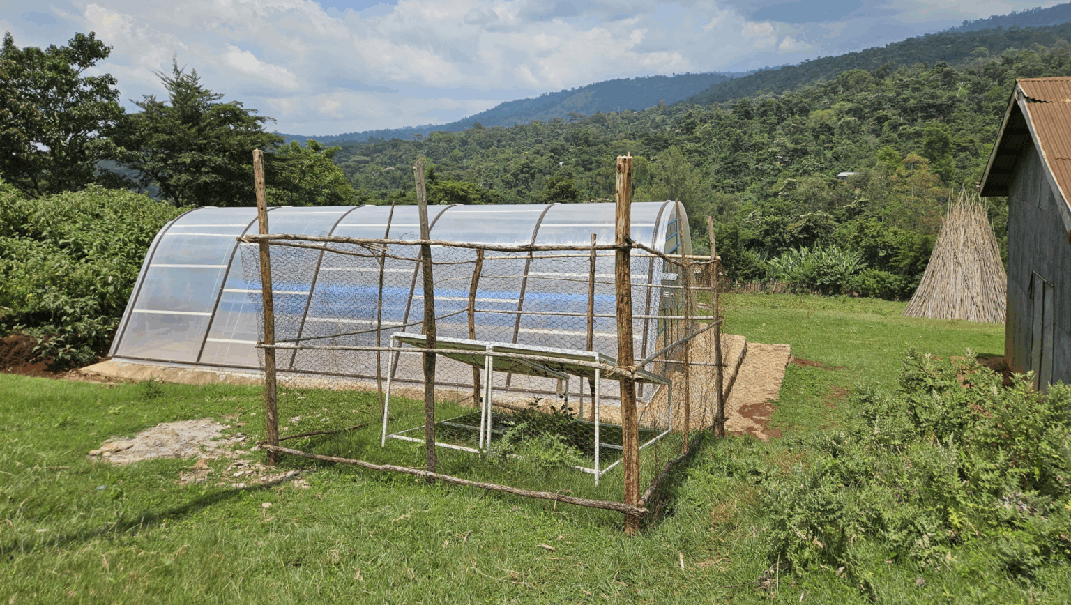 Synnefa Wins Global Backing to Scale Smart Solar Dryers - Big3Africa.org