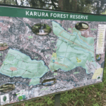 Karura Forest Crisis Resolved as Joint Management Restored