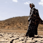 Kenya’s Drought Crisis Deepens as La Niña Lingers