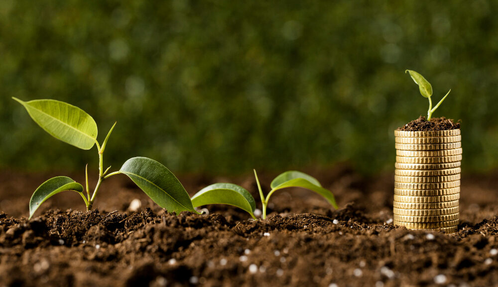 Kenya Leads Africa’s Climate Finance Enforcement