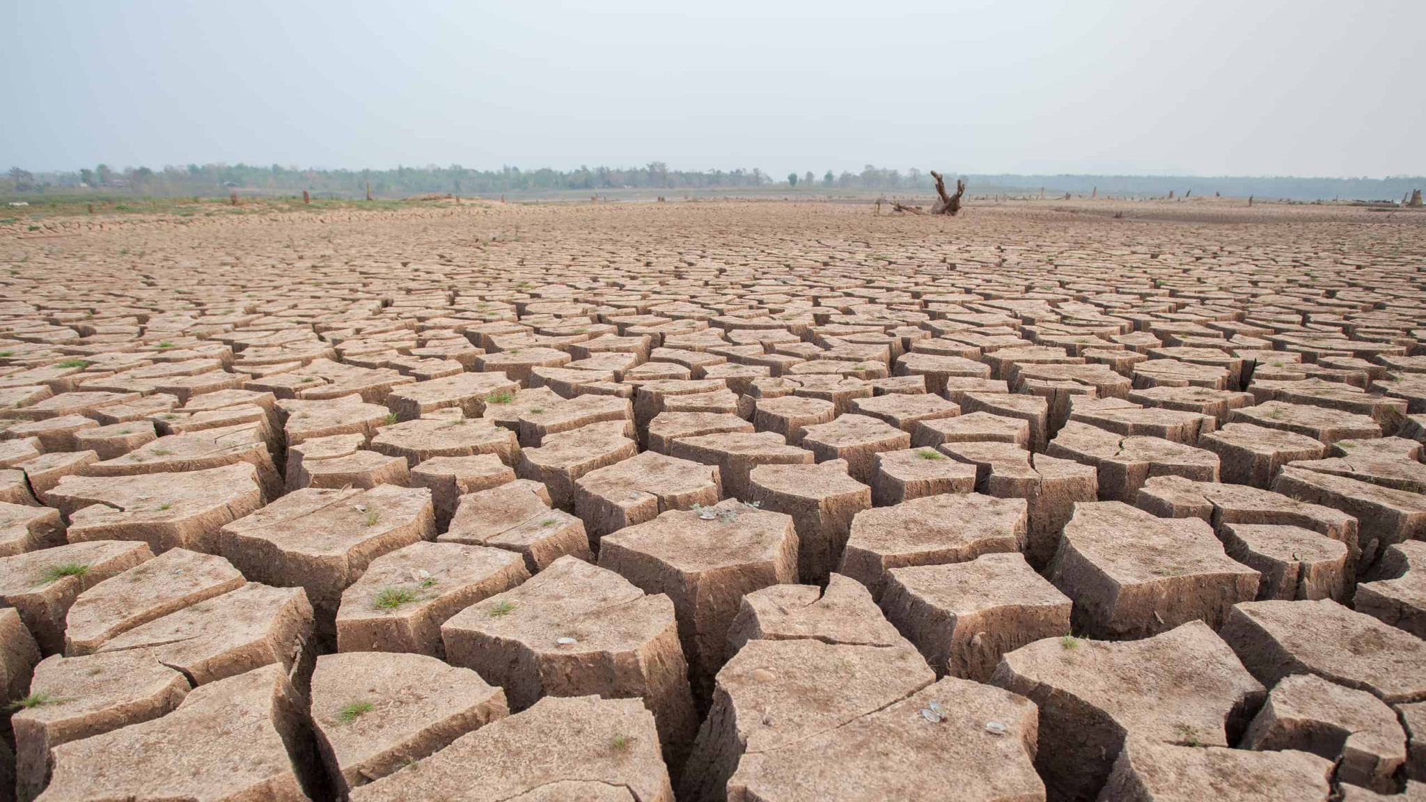 World Edges Closer to 1.5°C Warming Threshold for Third Consecutive ...