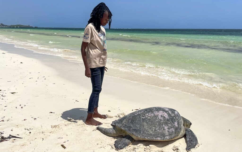 Sea Turtle Rescues Transform Conservation in Watamu Kenya