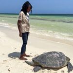 Sea Turtle Rescues Transform Conservation in Watamu Kenya