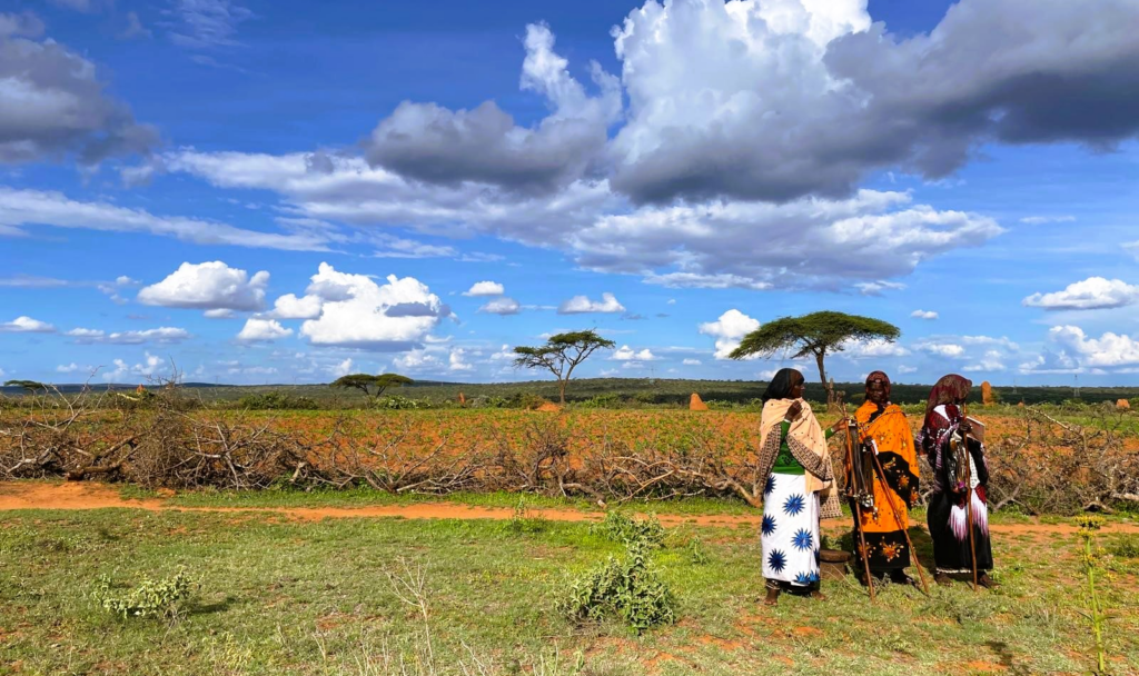 Boosting East Africa Climate and Food Resilience
