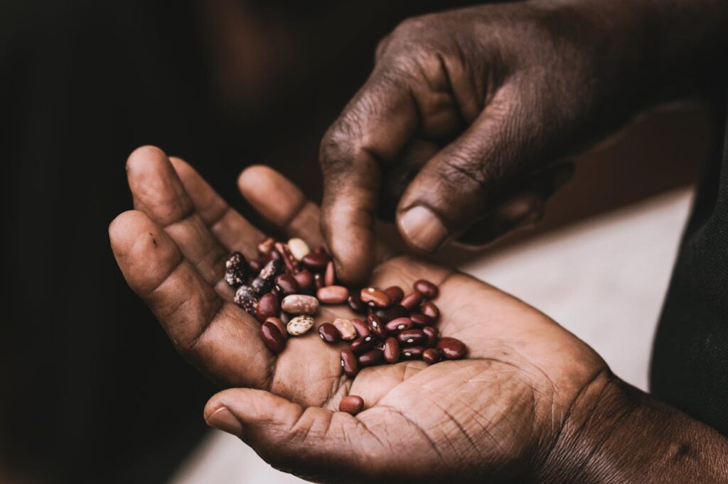 EAC Seed Bill Raises Alarm Over Indigenous Seeds and Farmer Rights