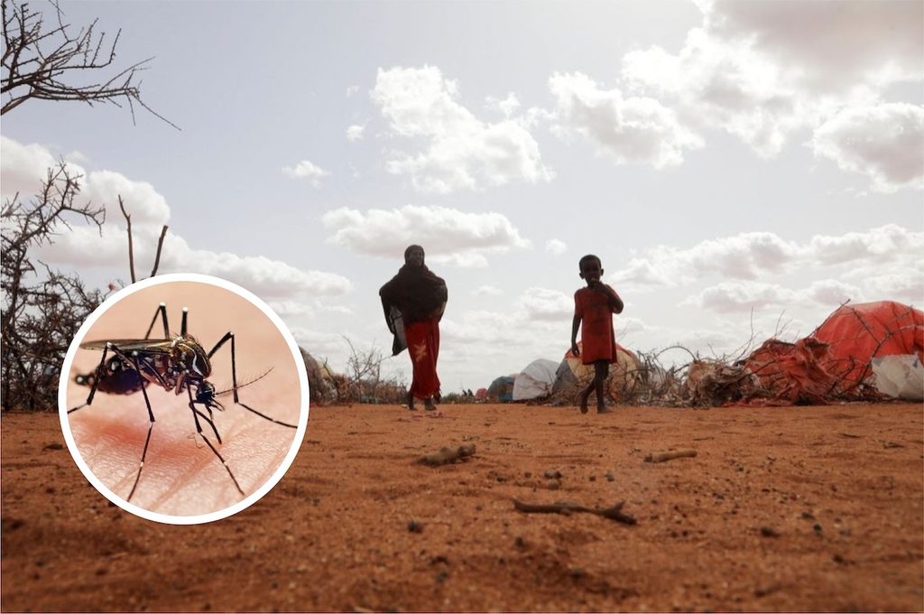 Global Warming Tightens Grip on Human Health as Heat and Disease Risks Surge