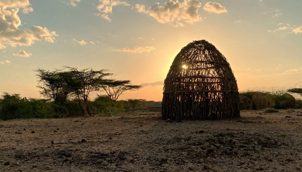 Turkana Genetic Adaptation Reveals Climate Survival Edge and Emerging Health Risks