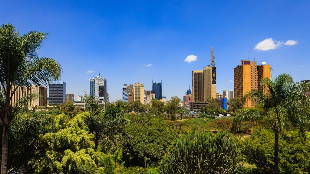 Nairobi Among African Cities Recognised in Global ‘Tree Cities of the World’ Programme
