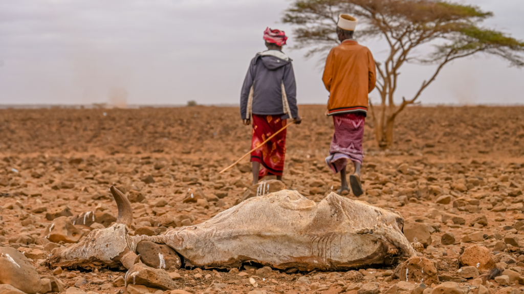 Kenya Climate Report Warns of Rising Food, Health and Economic Risks