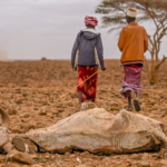 Kenya Climate Report Warns of Rising Food, Health and Economic Risks