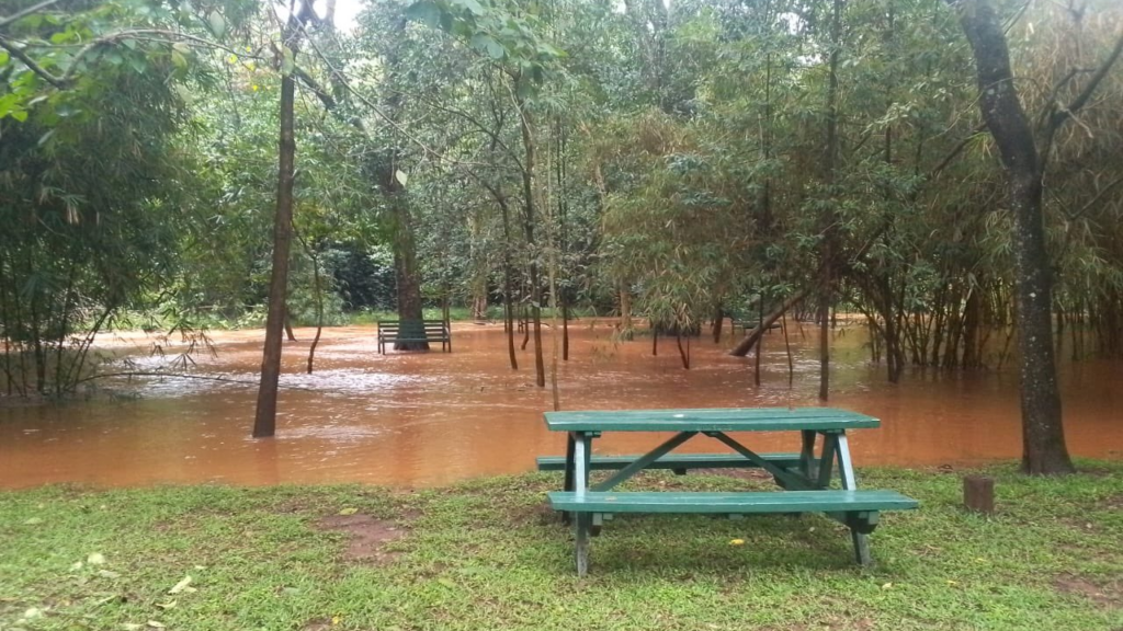 Floods Force Partial Closure of Karura Forest, Put Parks on Alert