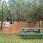Floods Force Partial Closure of Karura Forest, Put Parks on Alert