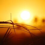 Understanding Why Heat is Now a Public Health Priority