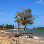 Africa’s Sea Levels Rising Faster Than Global Average