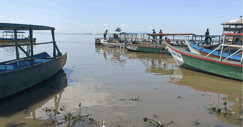 How Youth Are Reviving Dunga Wetland and Protecting Lake Victoria