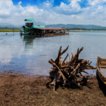 El Niño Set to Hit Within Weeks, Says WMO
