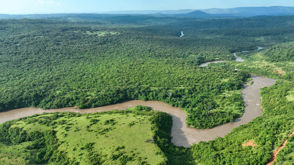 Rains Trigger Ecological Revival Across Kenya as Earth Day 2026 Sparks Climate Action